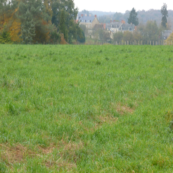 Offres de vente Terrain Saint-Jean-de-la-Motte 72510